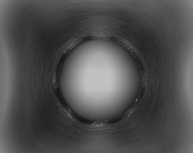 X0000086010764200703230911