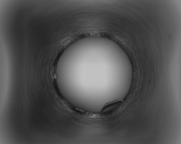 X0000086010768200703230911