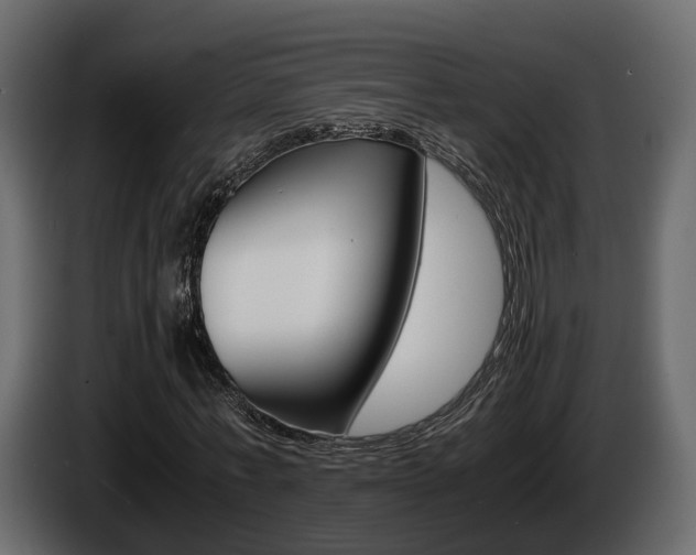 X0000086010771200703230910