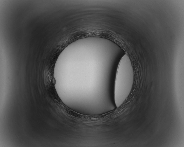 X0000086010772200703230910