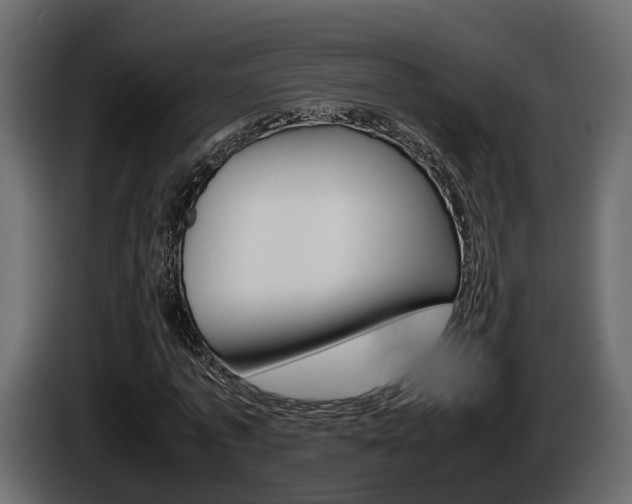 X0000086010773200703230910