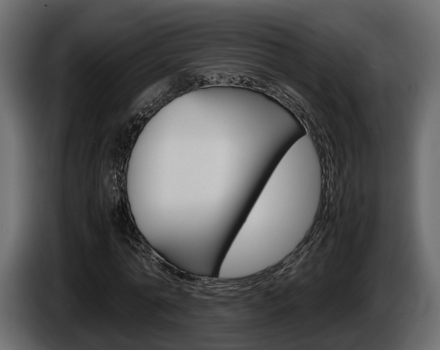 X0000086010774200703230910