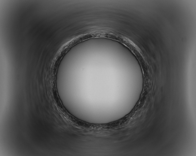 X0000086010775200703230910