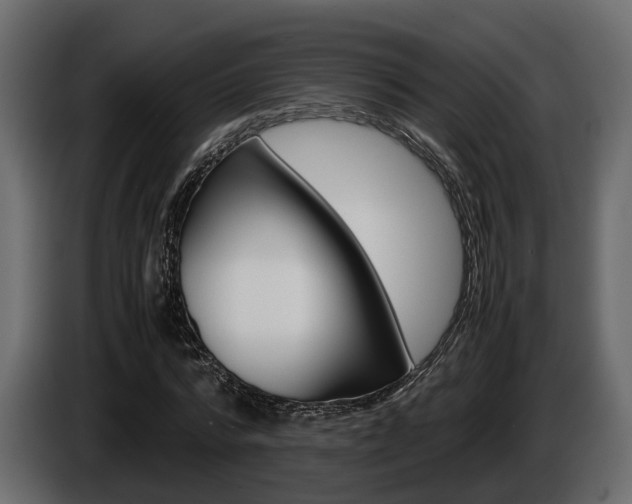 X0000086010776200703230910