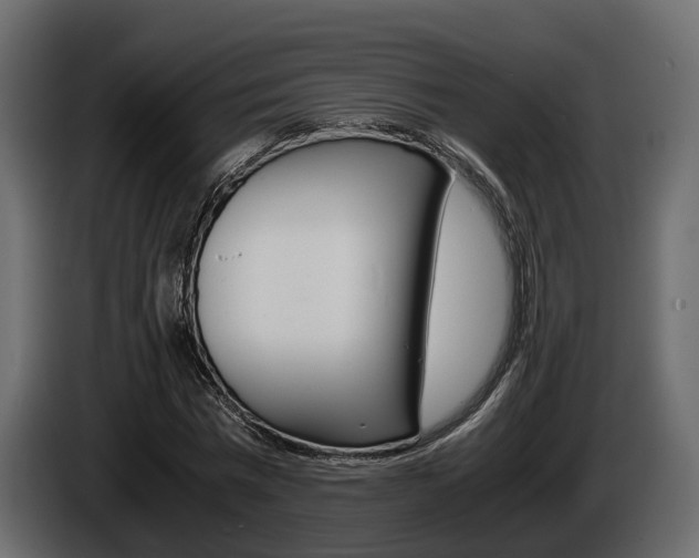 X0000086010777200703230910