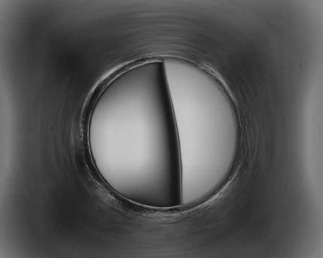 X0000086010779200703230910