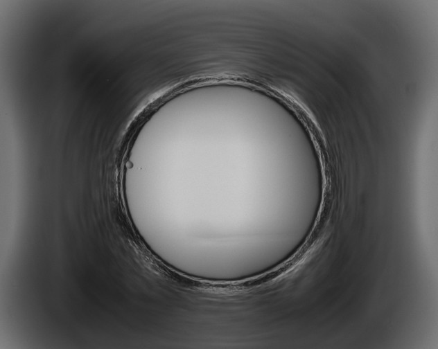 X0000086010781200703230910