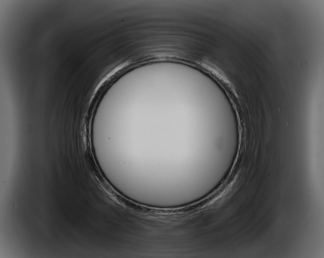 X0000086010782200703230910