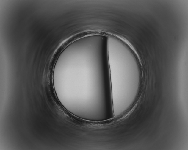 X0000086010783200703230910