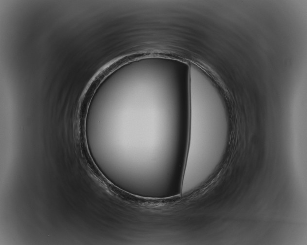 X0000086010784200703230910