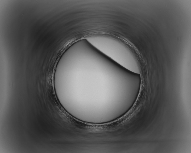 X0000086010785200703230910
