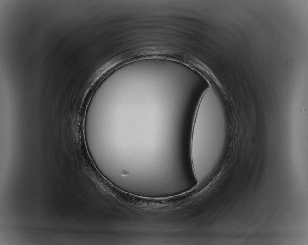 X0000086010786200703230910