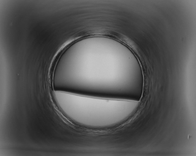 X0000086010787200703230910
