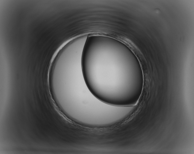 X0000086010788200703230910
