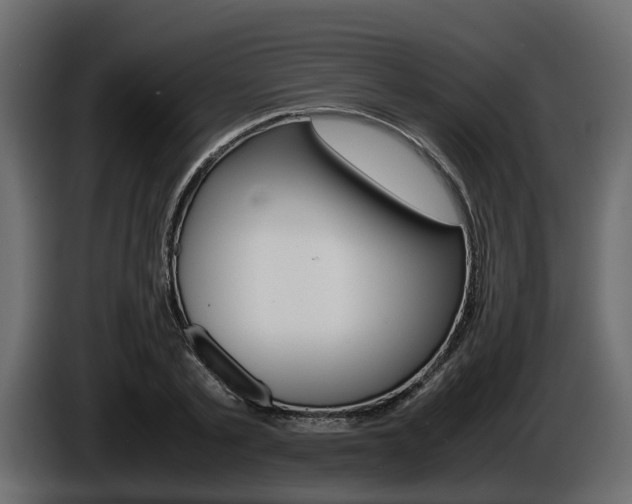 X0000086010789200703230910