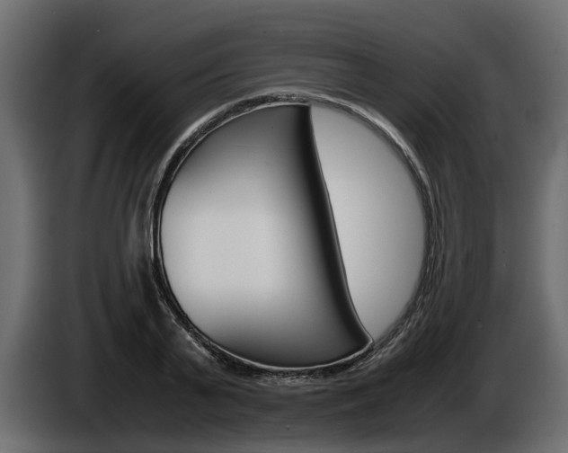 X0000086010791200703230910