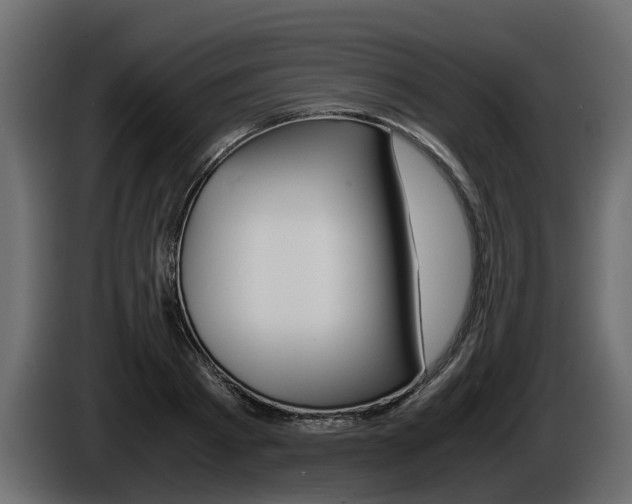 X0000086010793200703230910