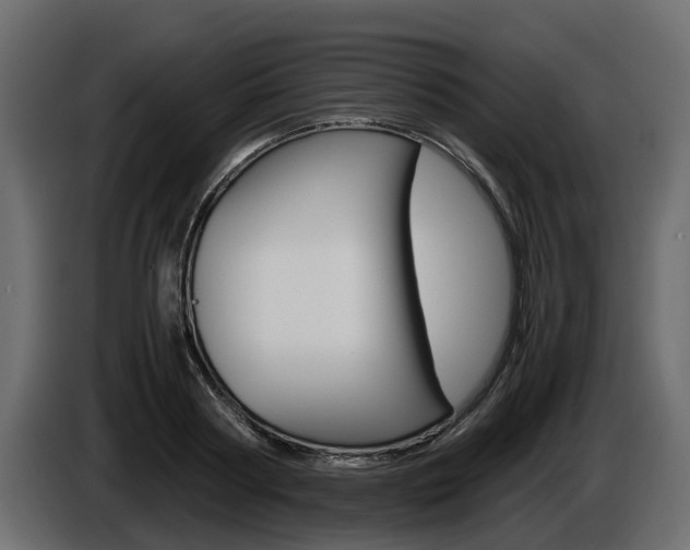 X0000086010794200703230910