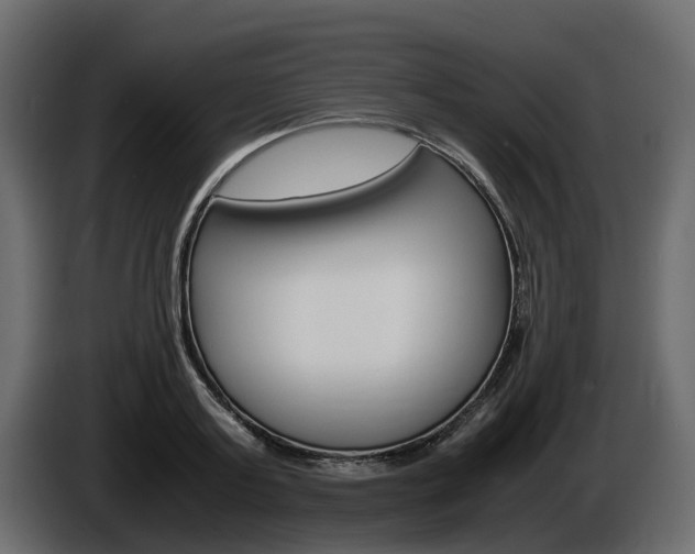 X0000086010795200703230910