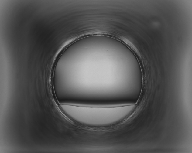 X0000086010797200703230910