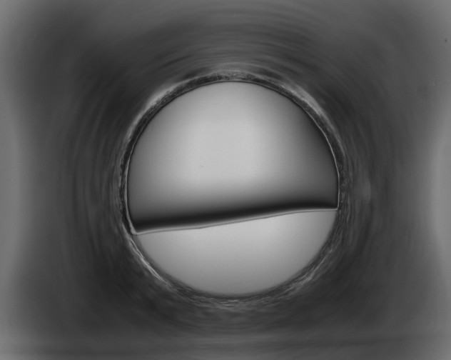 X0000086010799200703230910