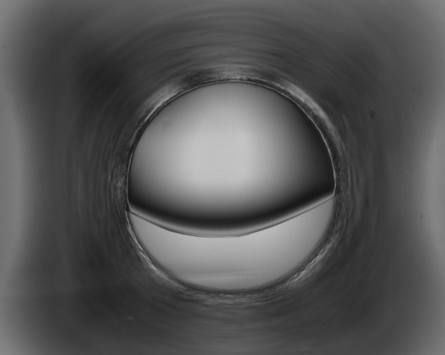 X0000086010801200703230909