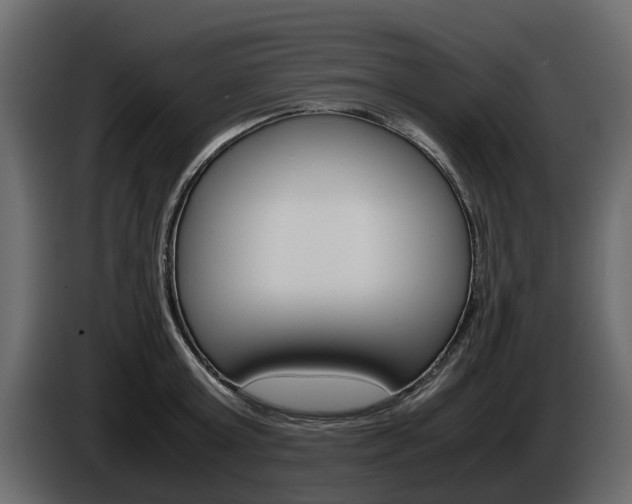 X0000086010803200703230909