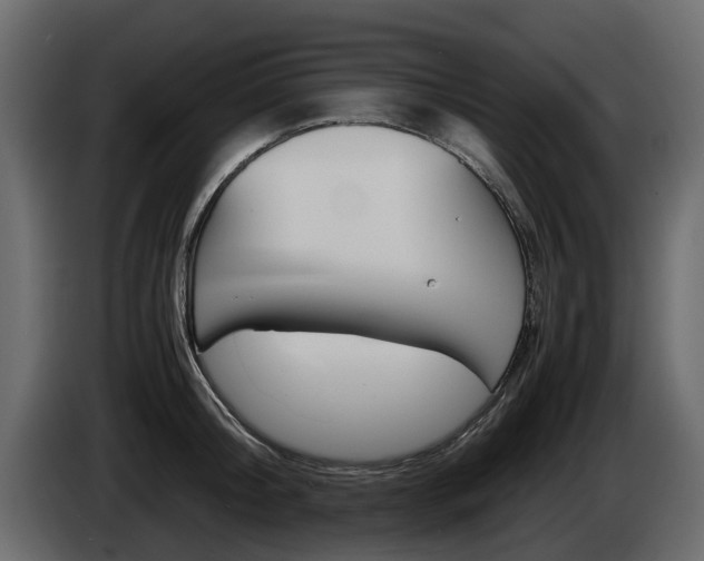 X0000086010804200703230909