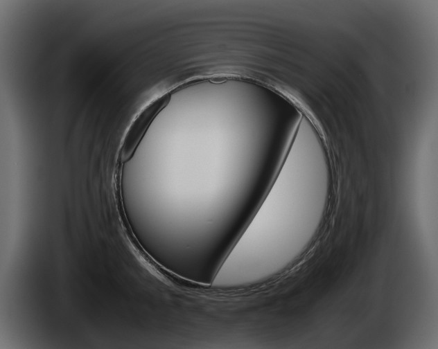 X0000086010805200703230909