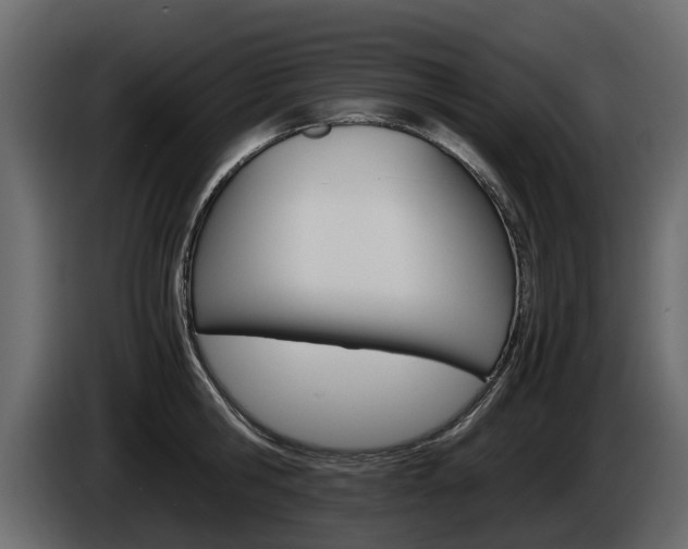 X0000086010806200703230909