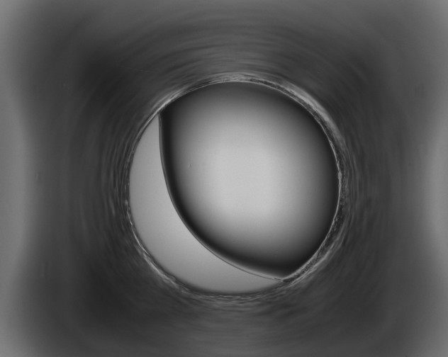 X0000086010809200703230909