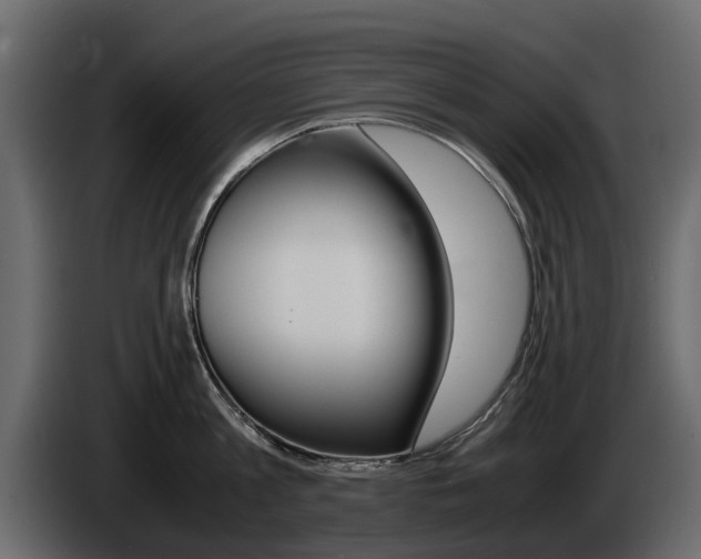 X0000086010813200703230909