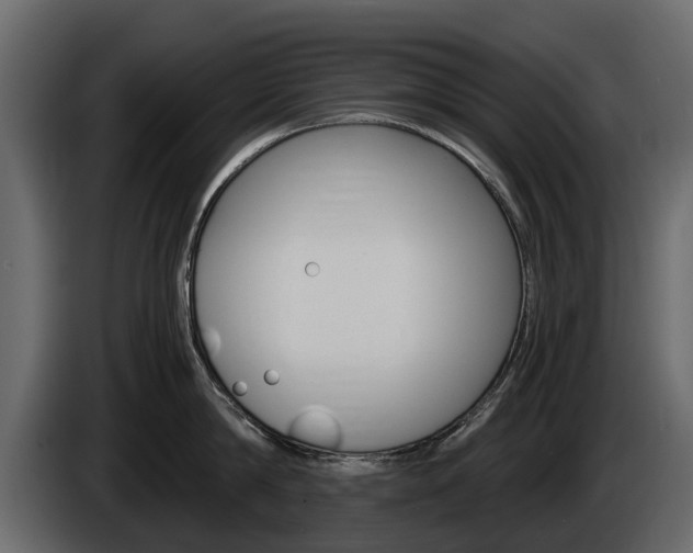 X0000086010814200703230909