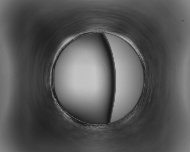 X0000086010815200703230909