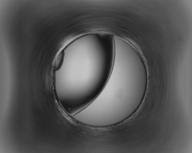 X0000086010816200703230909