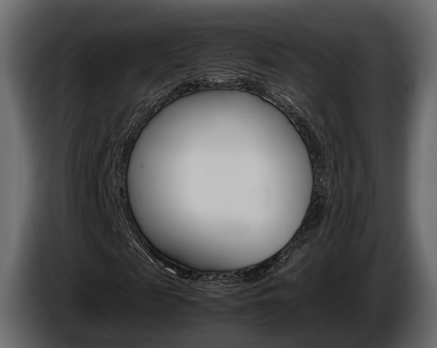 X0000086010817200703230909
