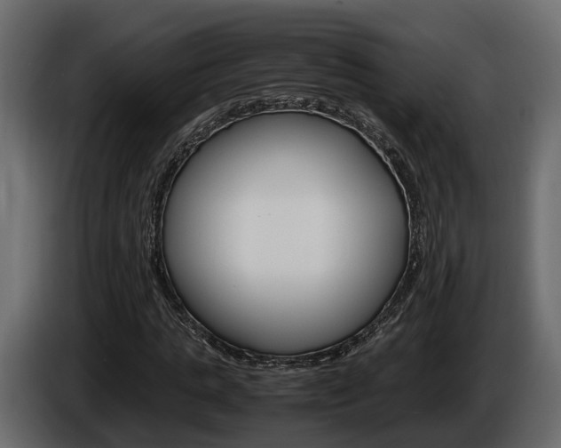 X0000086010821200703230909