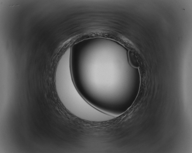 X0000086010822200703230909