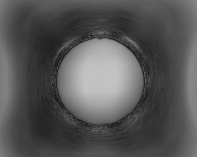 X0000086010823200703230909
