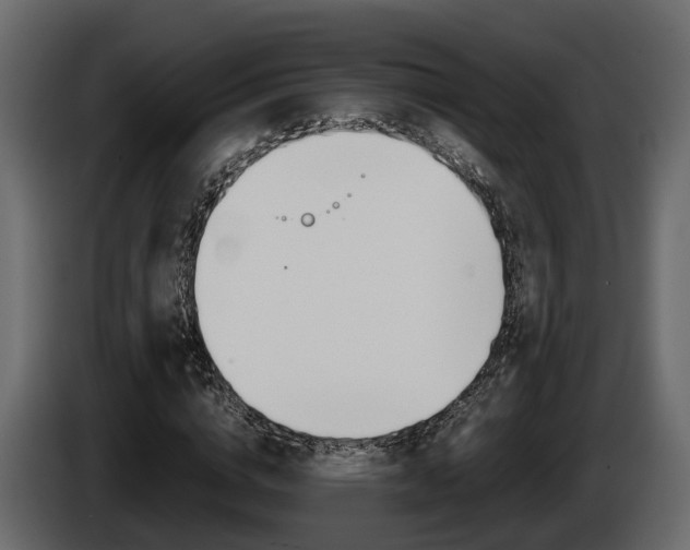 X0000086010824200703230909
