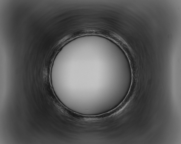 X0000086010825200703230909