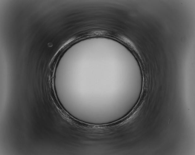 X0000086010827200703230909