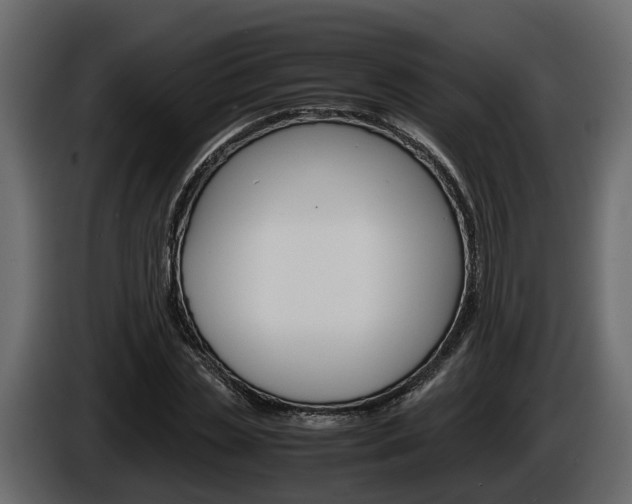 X0000086010829200703230909