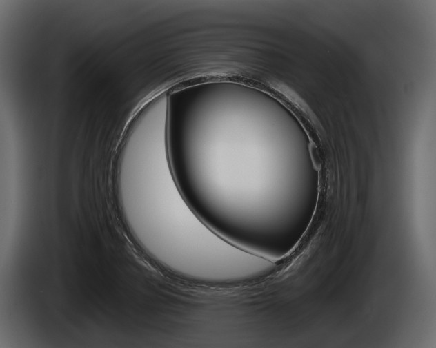 X0000086010834200703230909