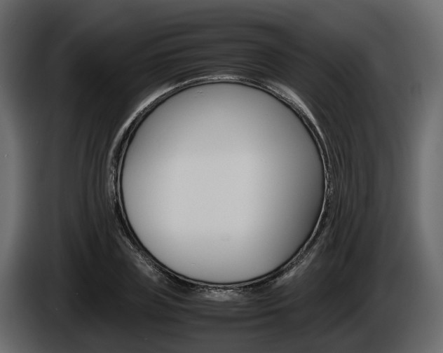 X0000086010835200703230909