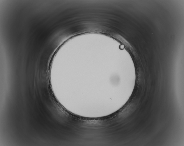 X0000086010836200703230909