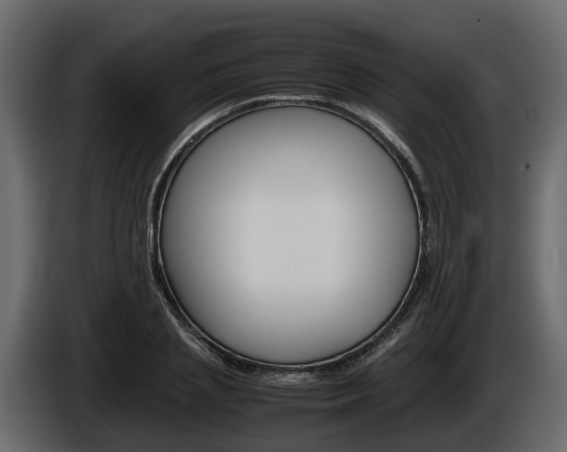 X0000086010837200703230909