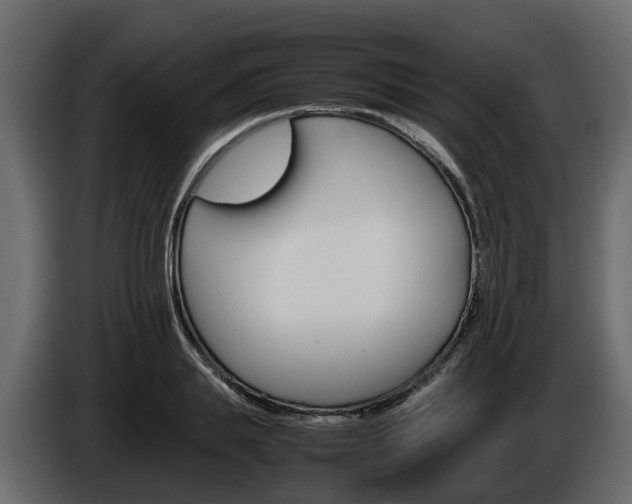 X0000086010839200703230909