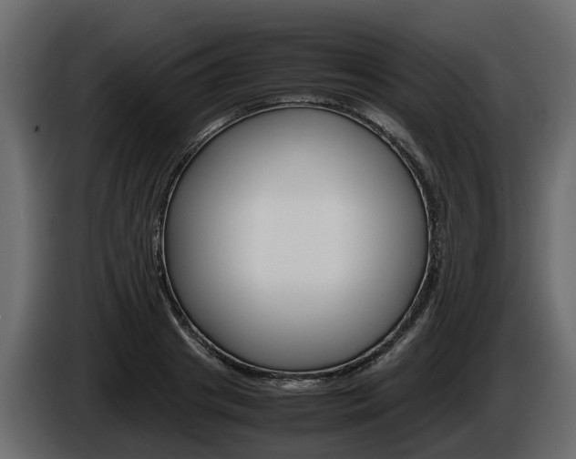 X0000086010841200703230909