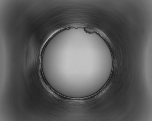 X0000086010844200703230909